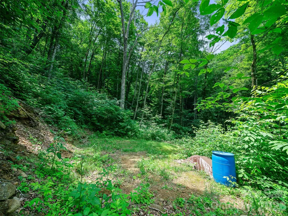 000 Ogles Gap Road Burnsville, NC 28714