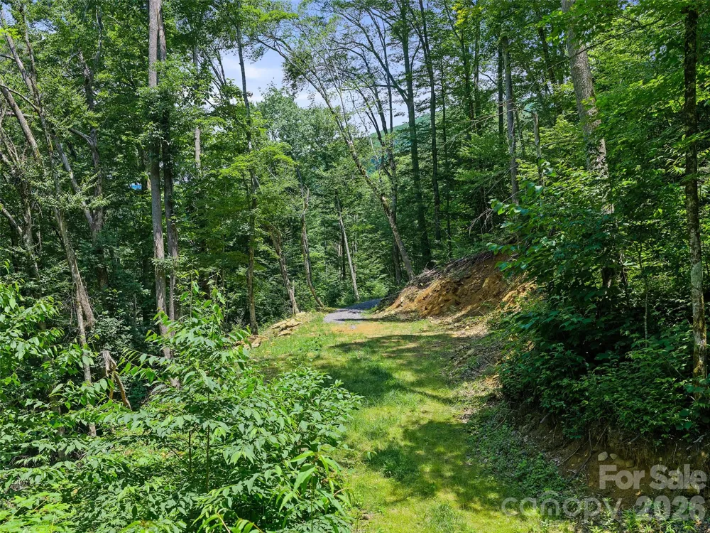 000 Ogles Gap Road Burnsville, NC 28714