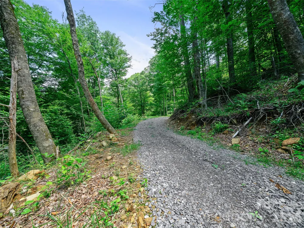 000 Ogles Gap Road Burnsville, NC 28714