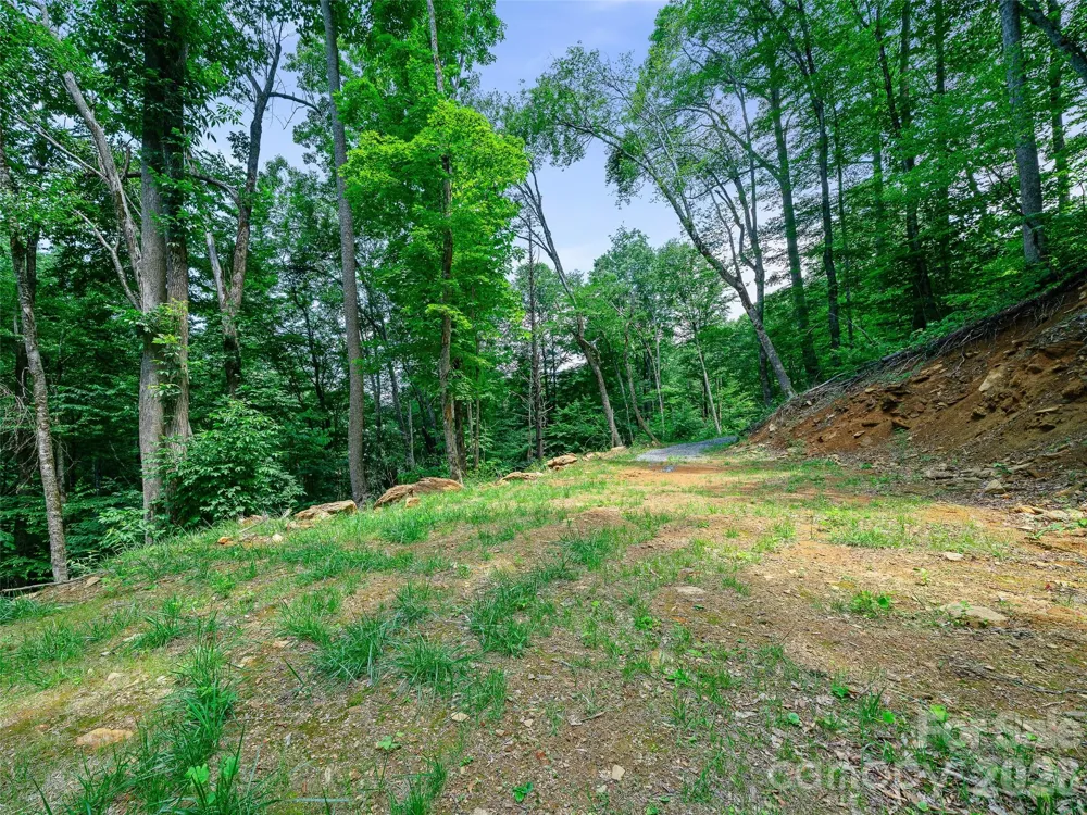 000 Ogles Gap Road Burnsville, NC 28714