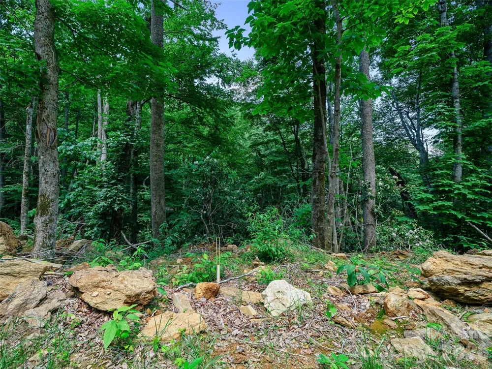 000 Ogles Gap Road Burnsville, NC 28714