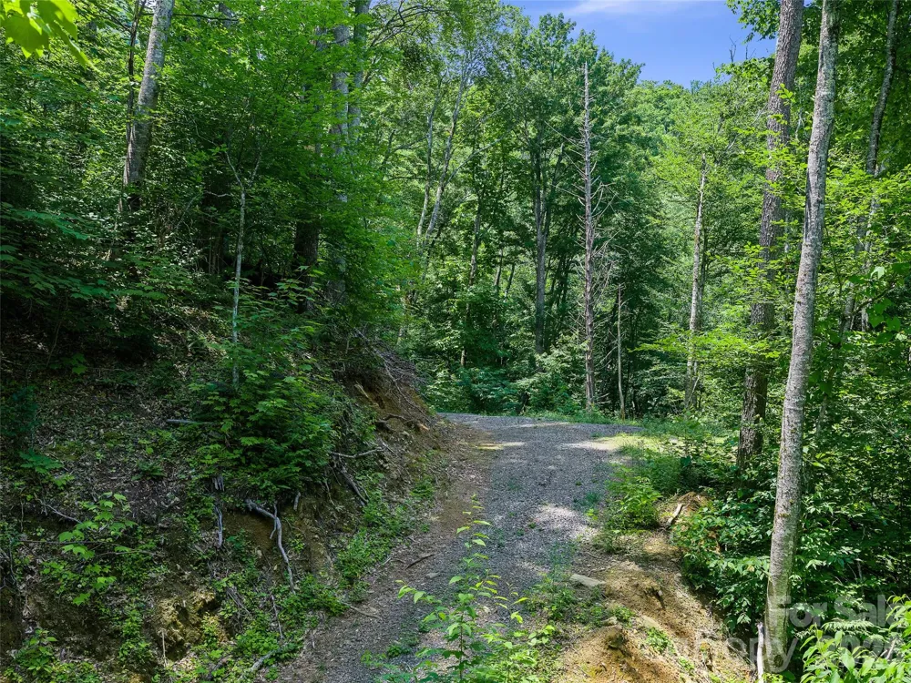 000 Ogles Gap Road Burnsville, NC 28714