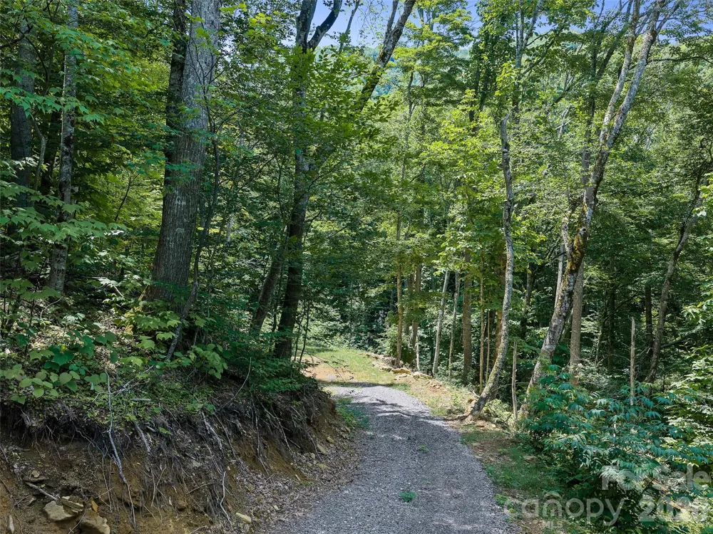 000 Ogles Gap Road Burnsville, NC 28714