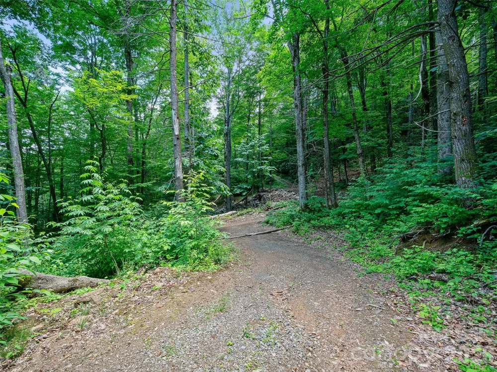 000 Ogles Gap Road Burnsville, NC 28714