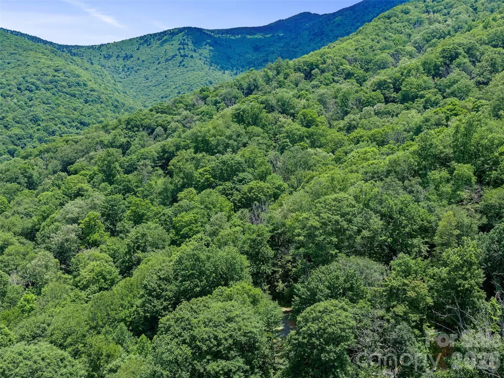 000 Ogles Gap Road Burnsville, NC 28714