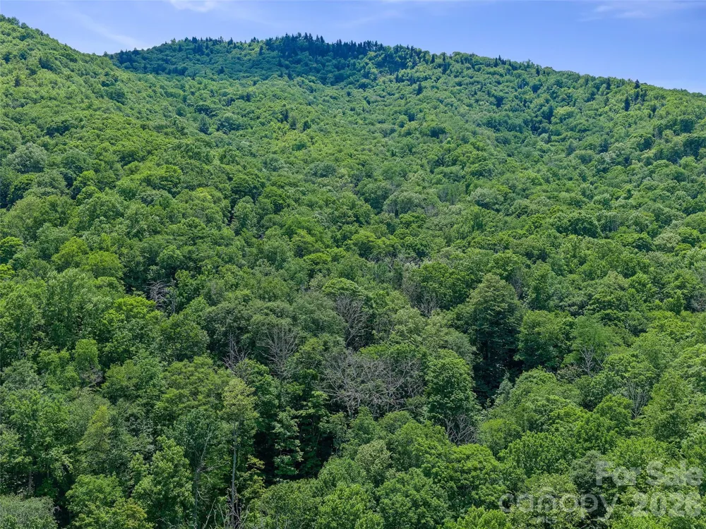 000 Ogles Gap Road Burnsville, NC 28714