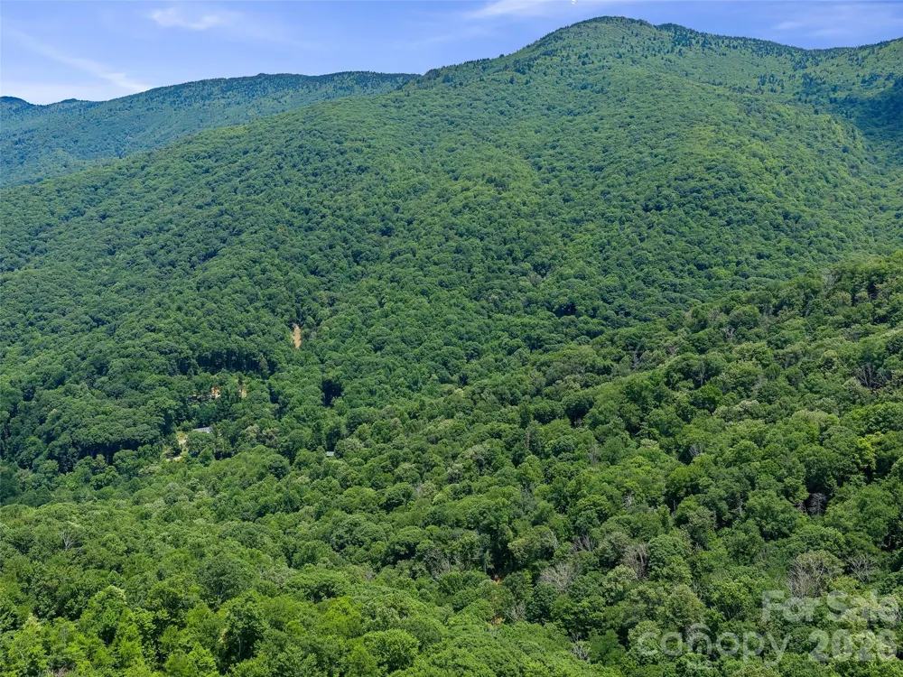 000 Ogles Gap Road Burnsville, NC 28714