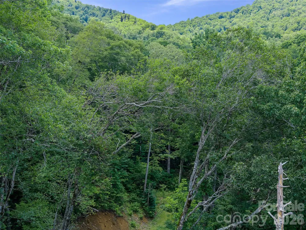 000 Ogles Gap Road Burnsville, NC 28714