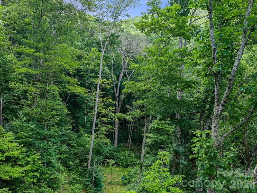 000 Ogles Gap Road Burnsville, NC 28714