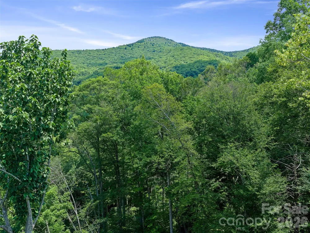 000 Ogles Gap Road Burnsville, NC 28714