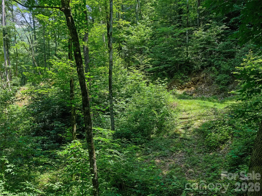 000 Ogles Gap Road Burnsville, NC 28714