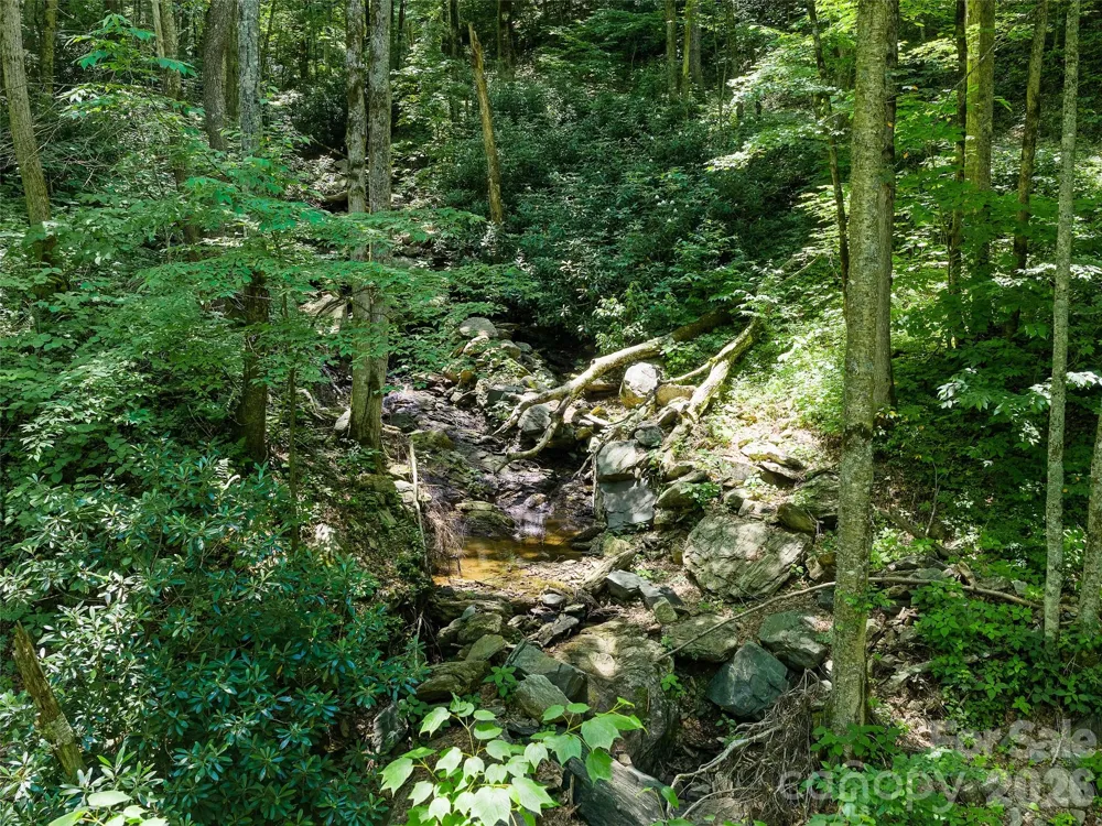 000 Ogles Gap Road Burnsville, NC 28714