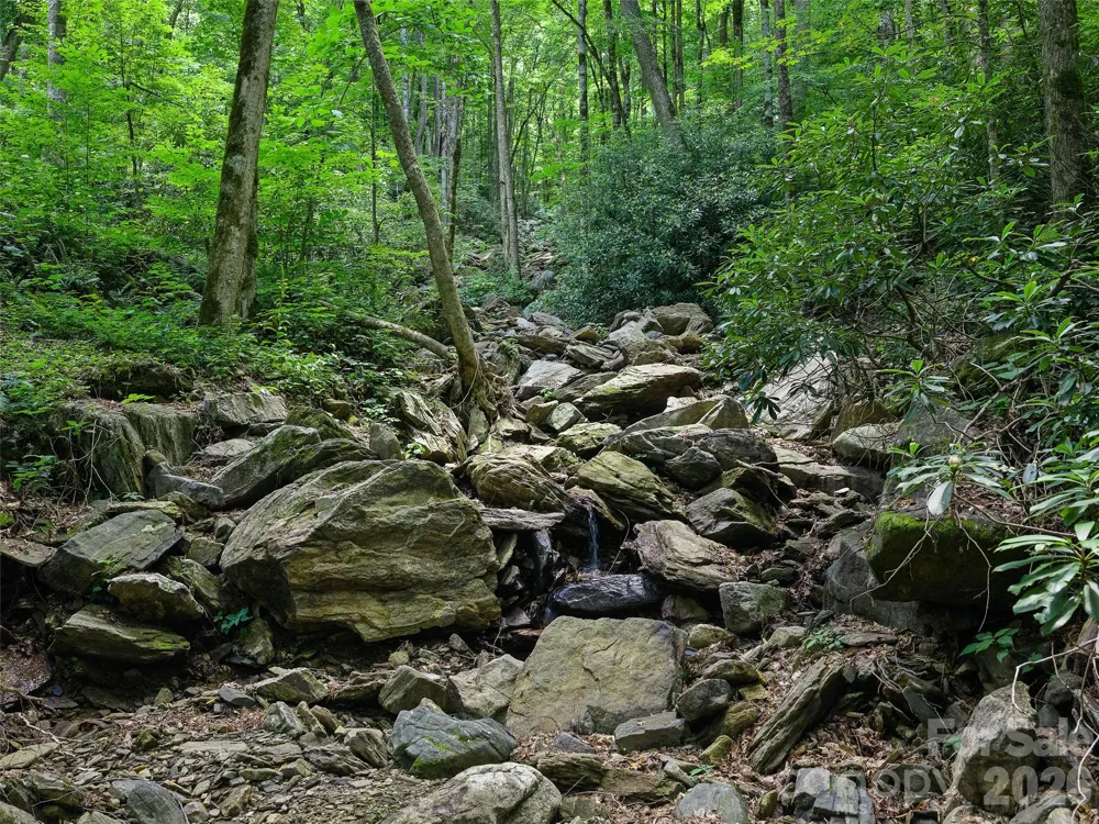 000 Ogles Gap Road Burnsville, NC 28714