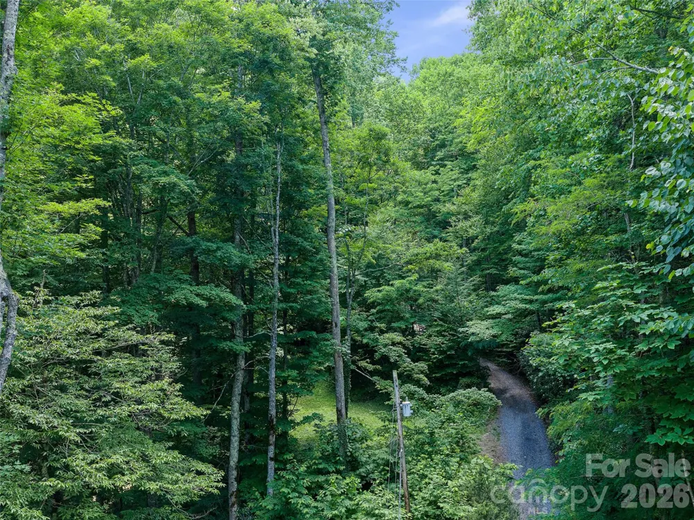 000 Ogles Gap Road Burnsville, NC 28714