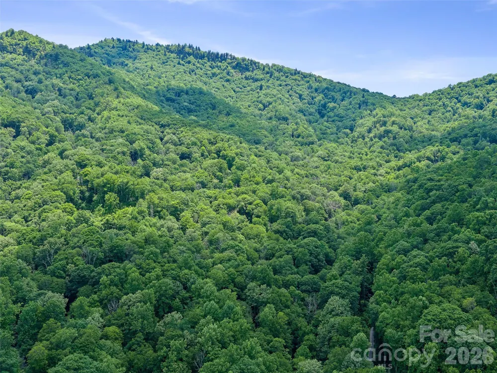 000 Ogles Gap Road Burnsville, NC 28714