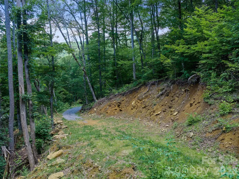 000 Ogles Gap Road Burnsville, NC 28714