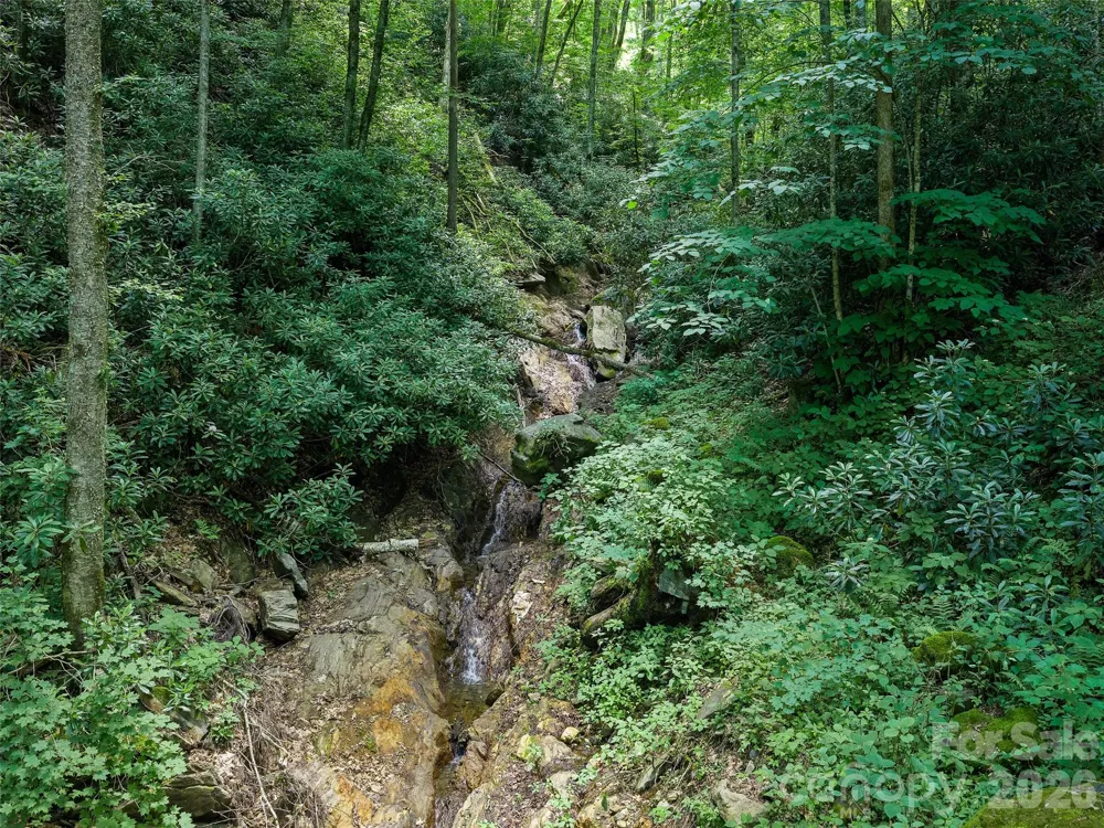 000 Ogles Gap Road Burnsville, NC 28714