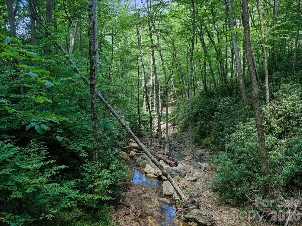 000 Ogles Gap Road Burnsville, NC 28714