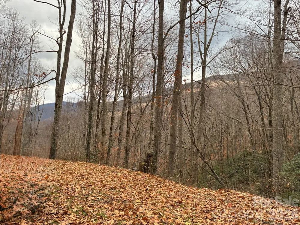 000 Ogles Gap Road Burnsville, NC 28714