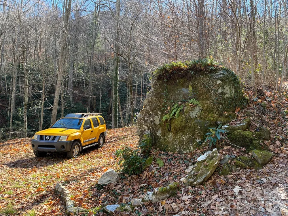000 Ogles Gap Road Burnsville, NC 28714