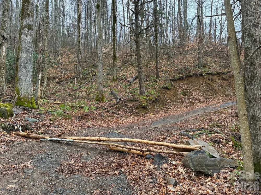 000 Ogles Gap Road Burnsville, NC 28714