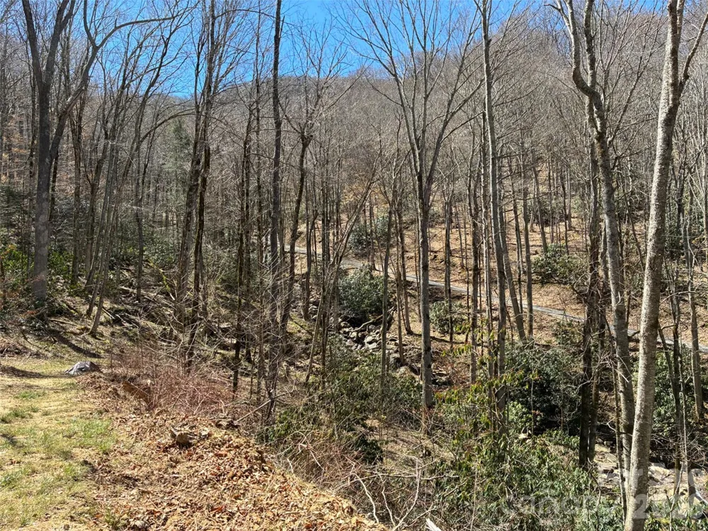 000 Ogles Gap Road Burnsville, NC 28714