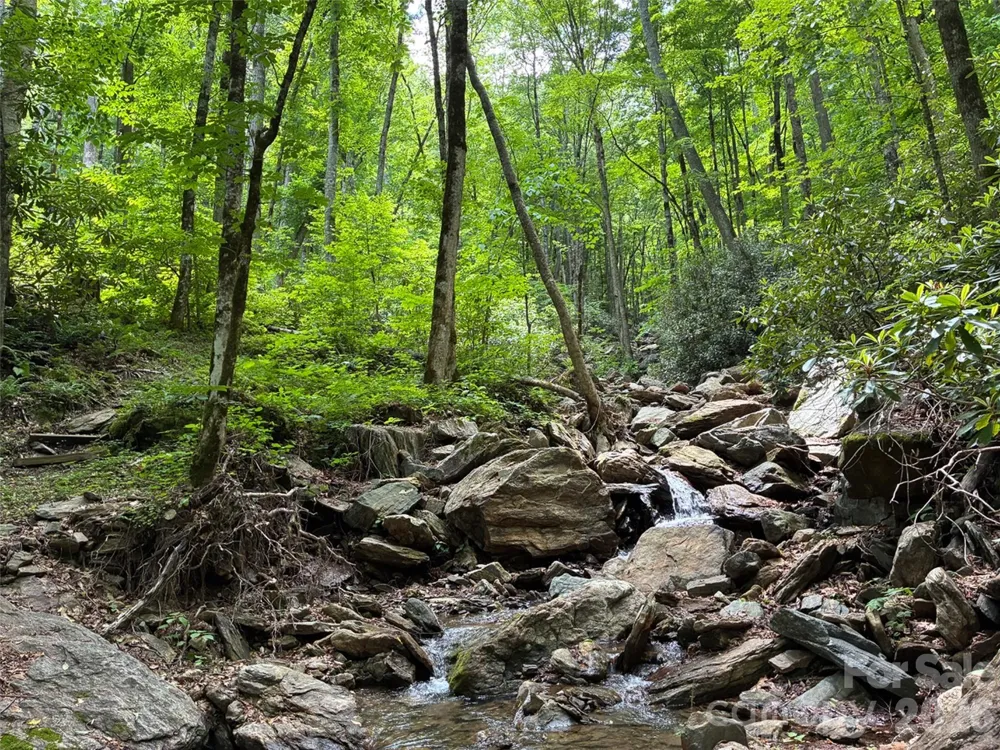 000 Ogles Gap Road Burnsville, NC 28714
