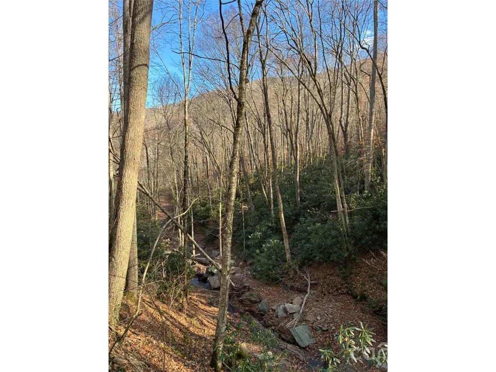 000 Ogles Gap Road Burnsville, NC 28714