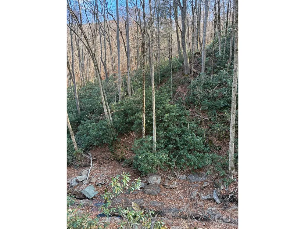 000 Ogles Gap Road Burnsville, NC 28714