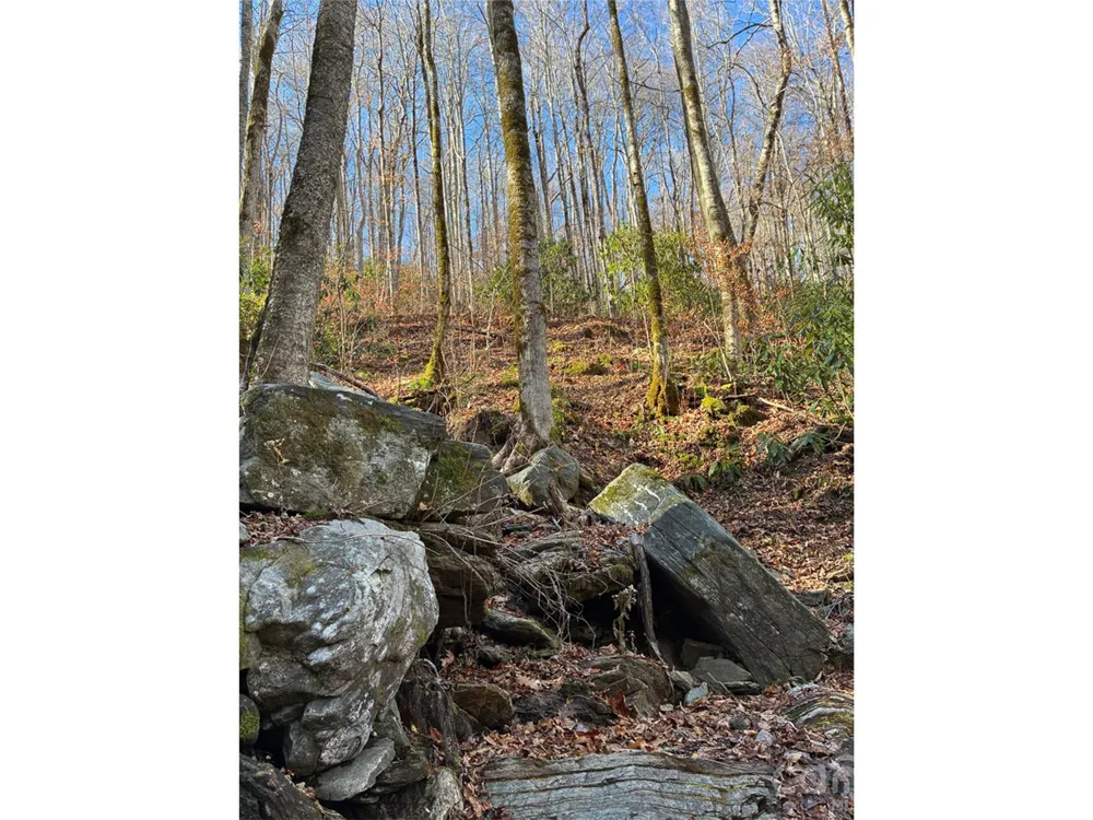 000 Ogles Gap Road Burnsville, NC 28714