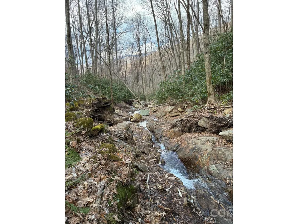000 Ogles Gap Road Burnsville, NC 28714