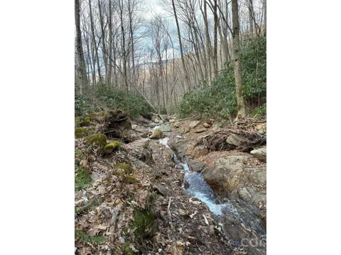 000 Ogles Gap Road