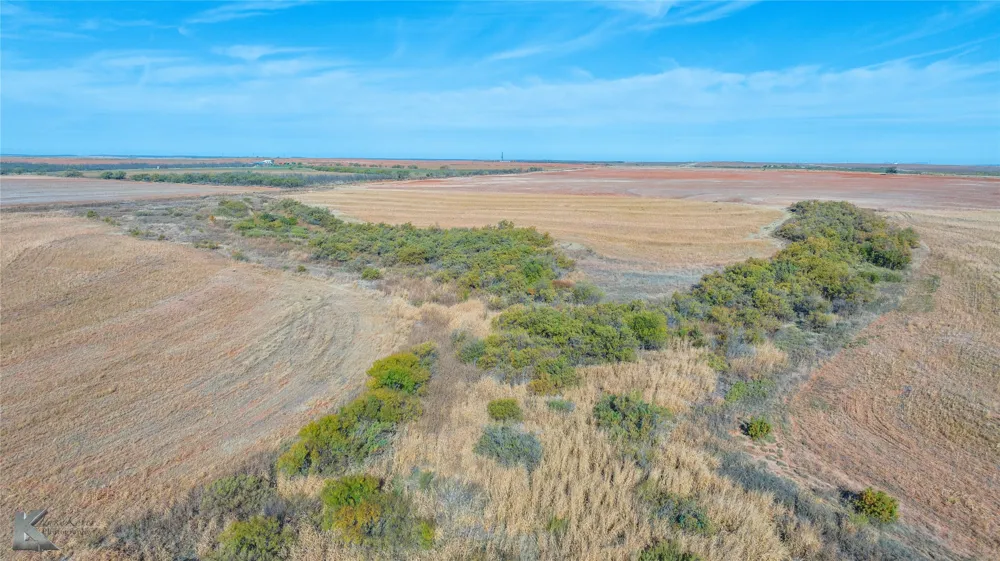 FM 57, 160 Acres Roby, TX 79543