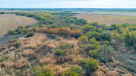 FM 57, 160 Acres