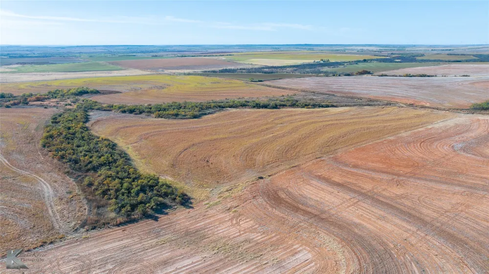FM 57, 160 Acres Roby, TX 79543