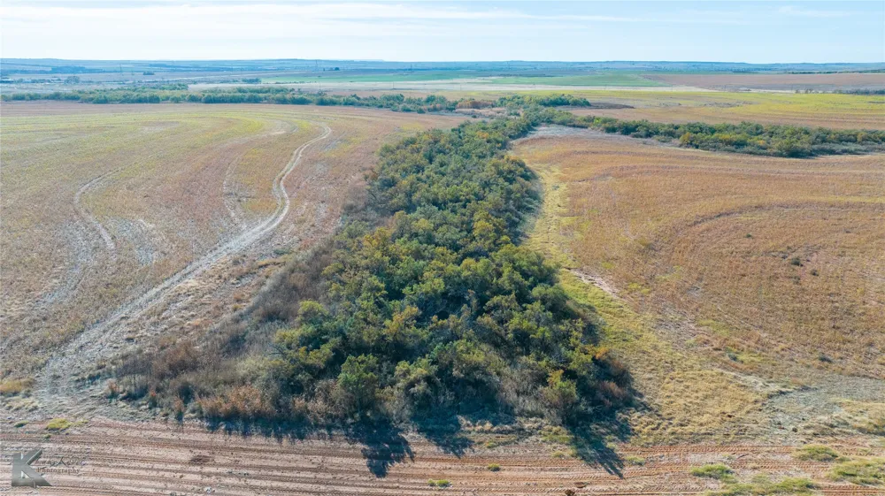 FM 57, 160 Acres Roby, TX 79543