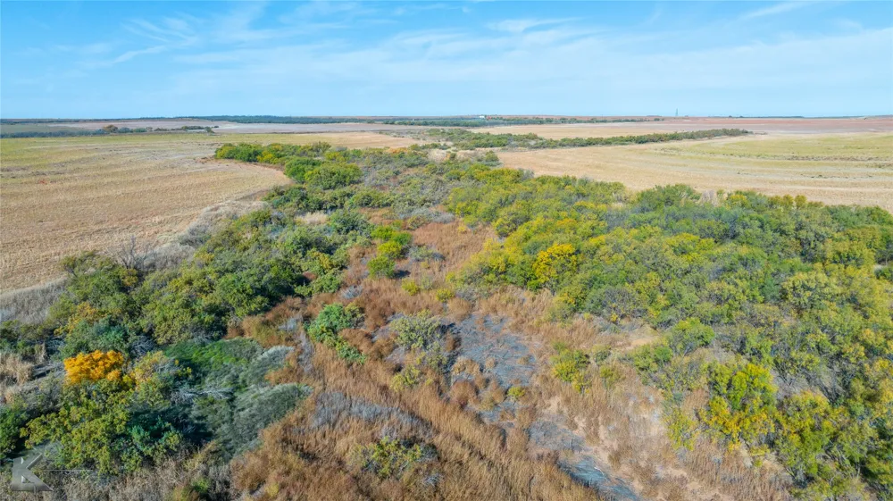 FM 57, 160 Acres Roby, TX 79543