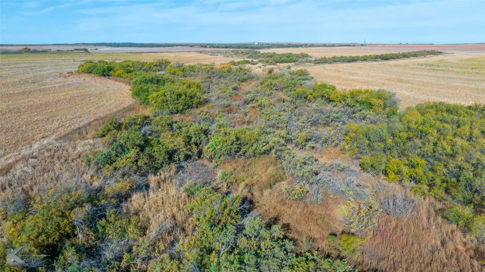 FM 57, 160 Acres Roby, TX 79543
