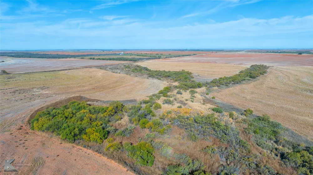 FM 57, 160 Acres Roby, TX 79543