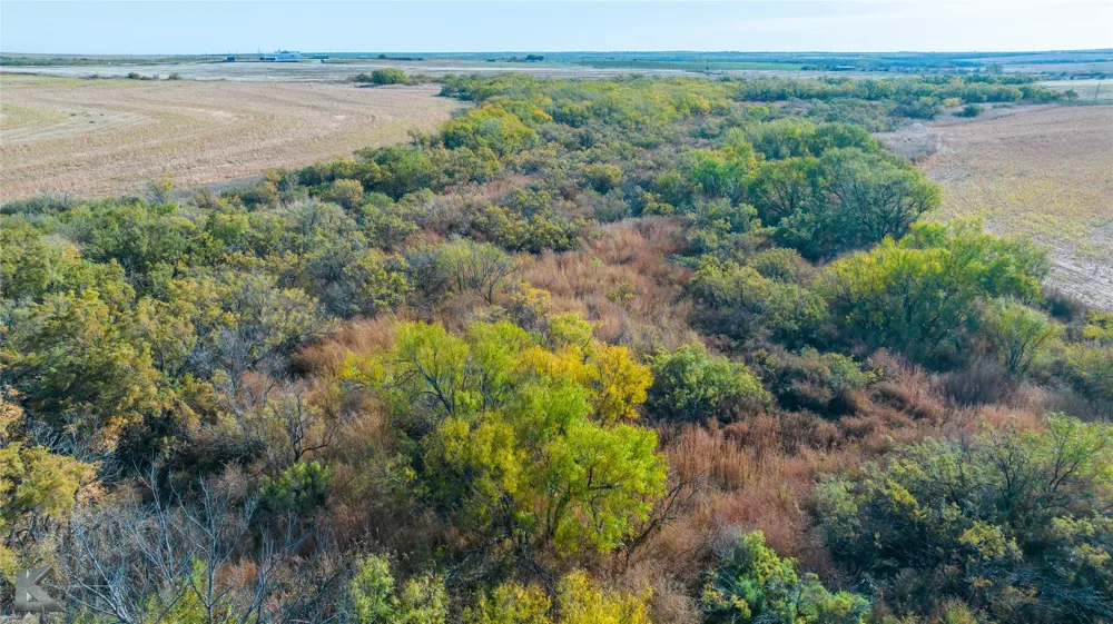 FM 57, 160 Acres Roby, TX 79543