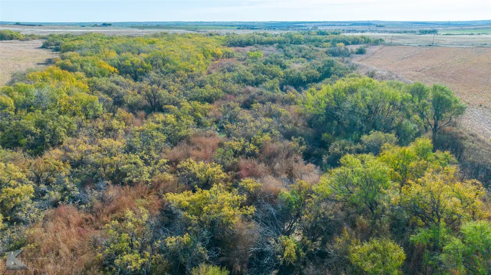 FM 57, 160 Acres Roby, TX 79543