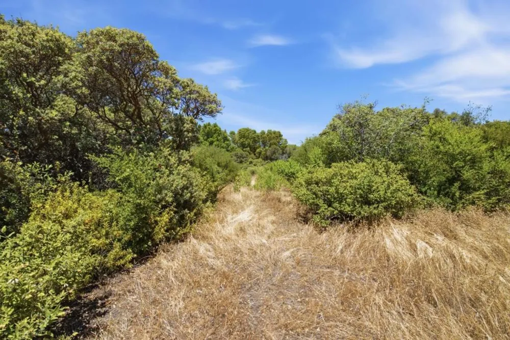 Soda Springs Road Los Gatos, CA 95033