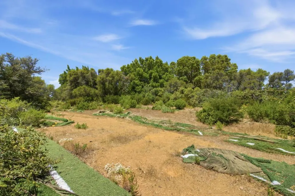 Soda Springs Road Los Gatos, CA 95033