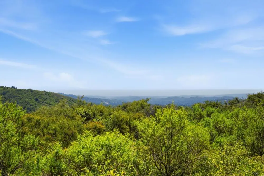 Soda Springs Road Los Gatos, CA 95033
