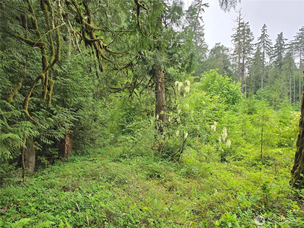 123 US Highway 101 Shelton, WA 98584