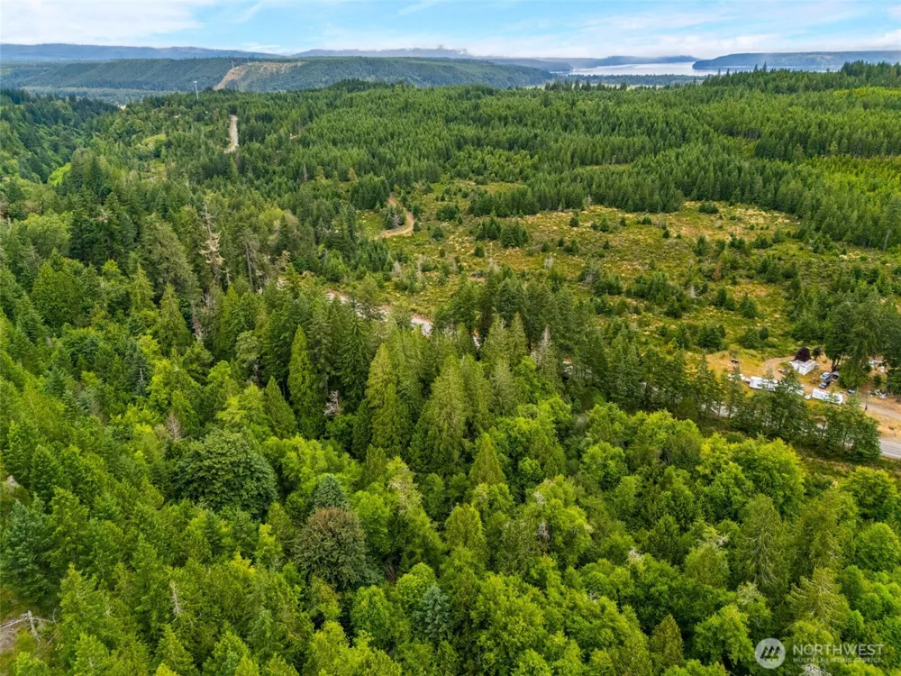 123 US Highway 101 Shelton, WA 98584