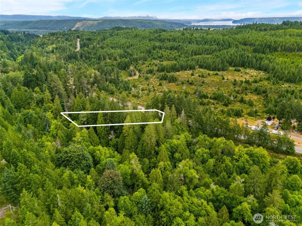 123 US Highway 101 Shelton, WA 98584