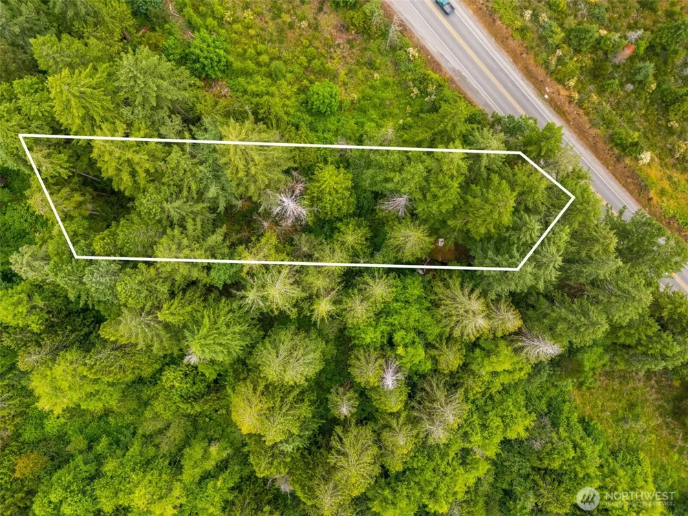 123 US Highway 101 Shelton, WA 98584