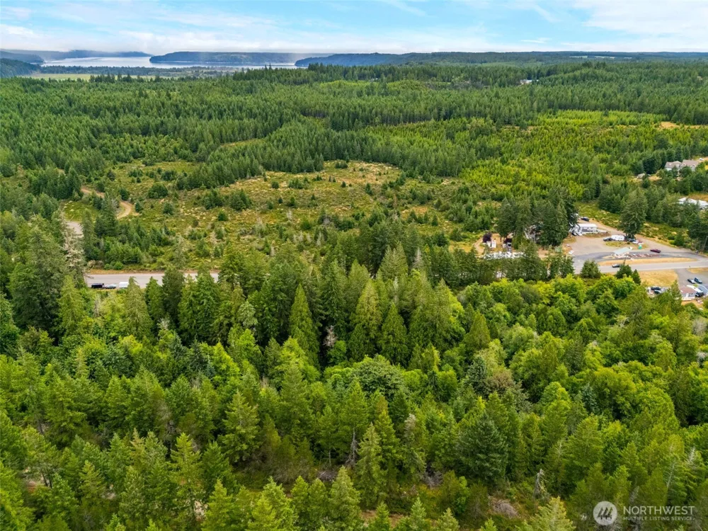 123 US Highway 101 Shelton, WA 98584