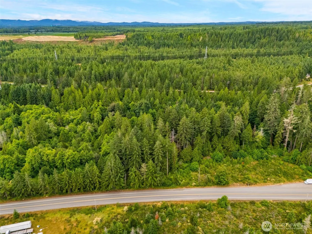 123 US Highway 101 Shelton, WA 98584